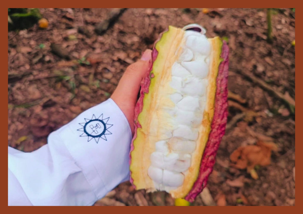 EQUINOX - WHITE CHOCOLATE BAR  - 3oz (90g) Includes postcard